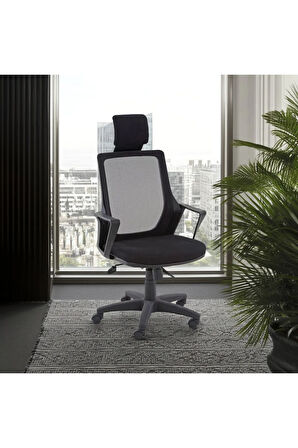 Ofis koltğu