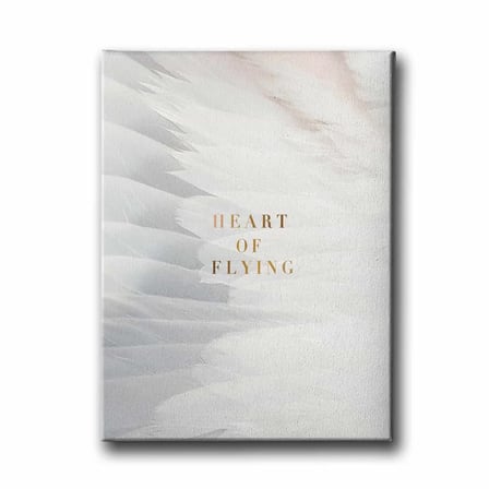 Heart Of Flying Dekoratif Kanvas Duvar Tablosu