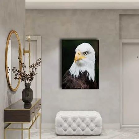 Kartal Dekoratif Kanvas Duvar Tablosu