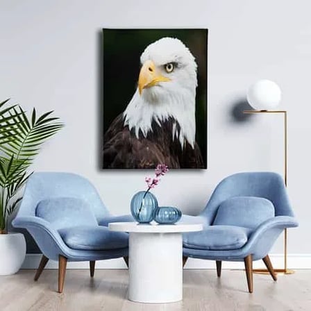 Kartal Dekoratif Kanvas Duvar Tablosu