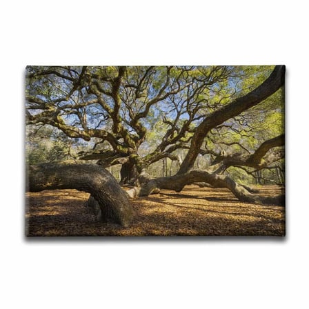Angel Oak Manzara Kanvas Duvar Tablosu