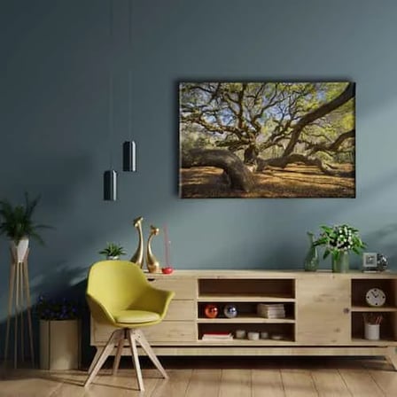 Angel Oak Manzara Kanvas Duvar Tablosu