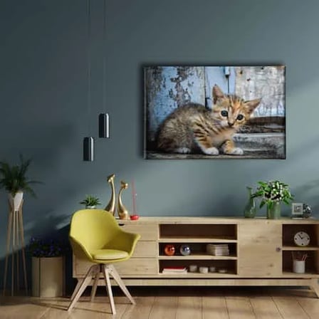 Yavru Kedi Dekoratif Kanvas Duvar Tablosu
