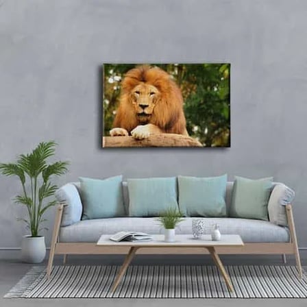 Aslan Dekoratif Kanvas Duvar Tablosu