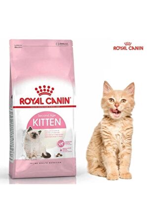 Royal Canin Kitten Tavuklu Yavru Kedi Maması 4 Kg