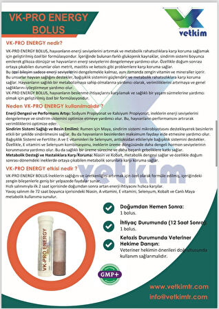 Vk-Pro Energy Bolus - 4 Adet 135 gr