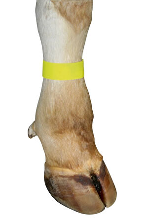 Cırtlı Büyükbaş Ayak Işaretleme Bandı Sarı (10 Adet/paket)