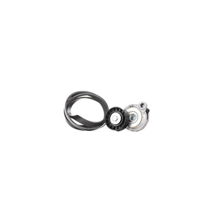 S60/S80/V60 V Kayış Seti 31401425 06- Day Kpv279 31330897 
