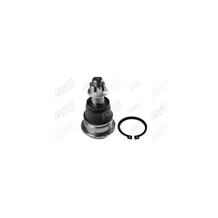 Primera 02- Maxima 99- Alt Rotil - Ayd-05264 - 40160-2Y412 