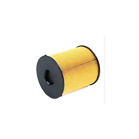 W210-163 Yakıt Filtresi 1998-2005 Bsg 60-130-022 A6110900051 