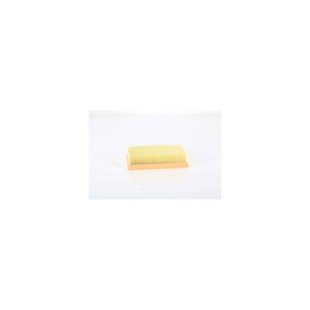 Kaleos/Qashqai/Xtrail Hava Filtresi 07- Bsg 75-135-022 165466131R 