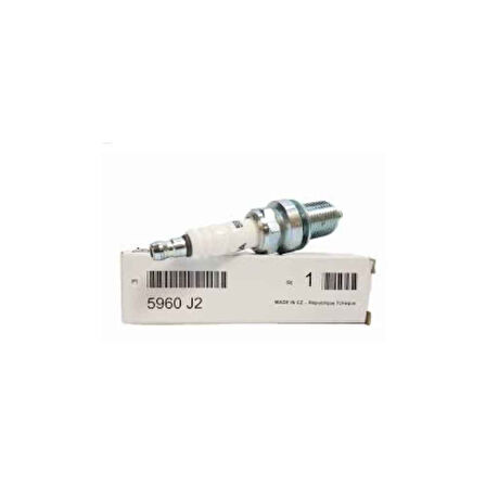 106-306 Buji 5960.J2 