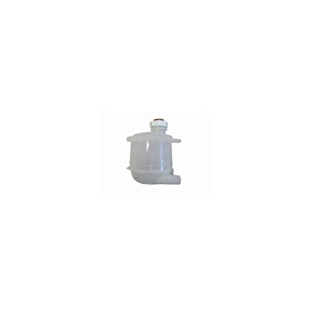 Flas/R19 Radyatör Yedek Su Deposu 82- Bsg 75-550-001 7701203219 