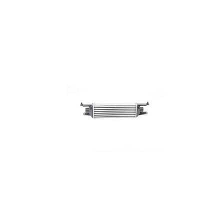 Linea Turbo Radyatörü Intercooler 450 X 102 X 50 2007- Bsg 25-535-009 51785221 