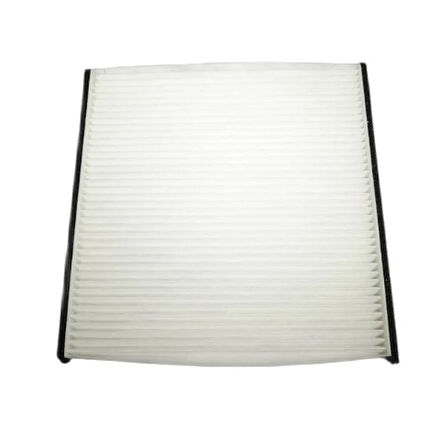 Camry 2002-2005 Polen Filtresi Karbon Fıltk1083A 8713933010 | 