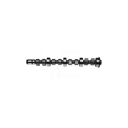 Esse Otomotiv - Palio /bravo/marea/doblo Eksantrik Mili Egzoz Tork Motor 96- Bsg25108011 46530233