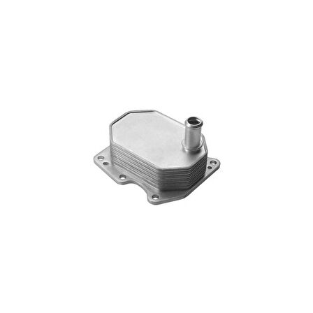 Esse Oto - Transit V-347/v-363 Yağ Soğutucu Radyatörü Tek Petek / Kağıt Filtreli Tip 06- Mag 359001602190