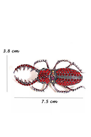 Kırmızı Böcek Broş