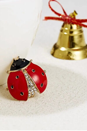 Kırmızı Uğur Böceği Broş