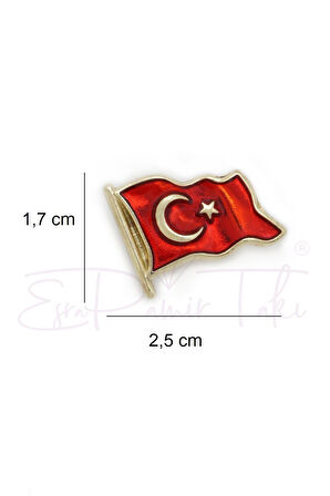 Türk Bayrağı Rozet