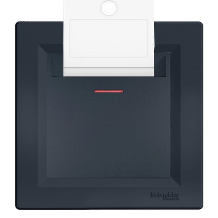 Schneider Asfora Energy Saver Mekanik Antrasit EPH6200171