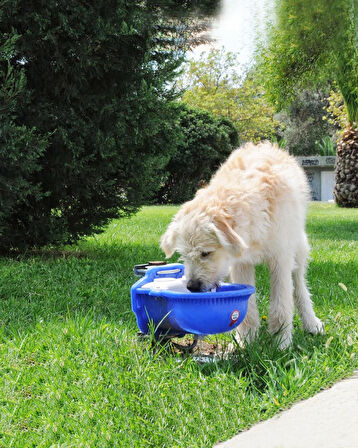 Otomatik Köpek Suluğu 4 Litre