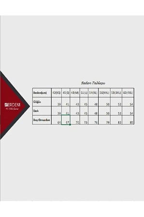 Erdem Erkek Siyah Ribana Kolsuz V Yaka Atlet- 1196
