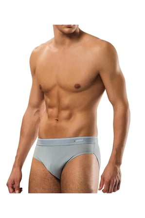 Erdem Erkek Gri Pamuk Elastan Slip Külot- 1340g S