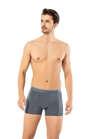 Erdem Erkek Füme Pamuk Klasik Boxer Kutulu- 1445