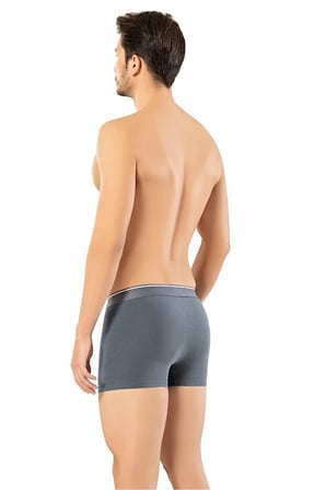 Erdem Erkek Füme Pamuk Klasik Boxer Kutulu- 1445