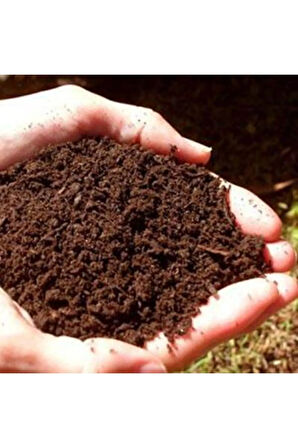 Kaliteli Saksı Yükseklik 16,5 X14 Kaliteli Saksı 5 Adet Saksı + 2,5 Litre 1 Kalite Çiçek Toprağı