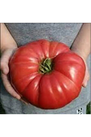 Köy Domates Tohumu 10 Adet