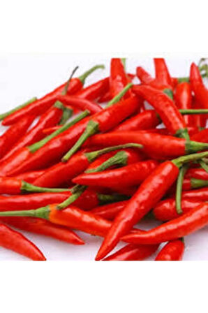 30 Adet Şili Biberi Tohumu