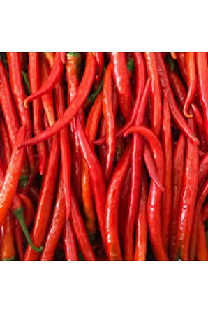 30 Adet Şili Biberi Tohumu