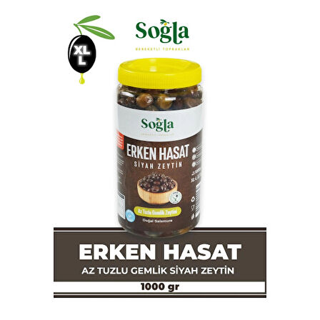 Erken Hasat Gemlik Zeytini 1000g (Kızıl Zeytin)