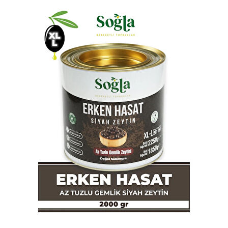 Erken Hasat Gemlik Zeytini 1850g Teneke (Kızıl Zeytin)