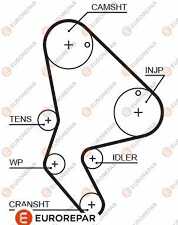 Eurorepar-PSA 1633128980 Kayış 1633128980