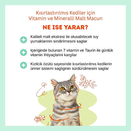 Biofeline Kısırlaştırılmış Kediler İçin Vitaminli Malt Macunu – 100g
