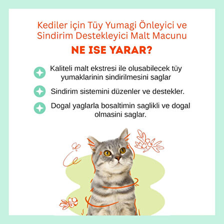 Biofeline Kediler İçin Tüy Yumağı Önleyici ve Sindirim Destekleyici Malt Macunu