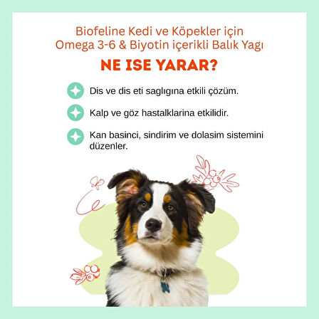 Biofeline Omega 3-6 & Biotin Balık Yağı – Kedi ve Köpekler İçin Parlak Tüy ve Sağlıklı Cilt Takviyesi 250 ml