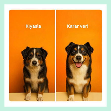 Biofeline Omega 3-6 & Biotin Balık Yağı – Kedi ve Köpekler İçin Parlak Tüy ve Sağlıklı Cilt Takviyesi 250 ml