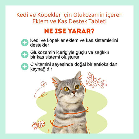 BioFeline Move+G Glukozamin Kedi Köpek Eklem Desteği 75 Tablet