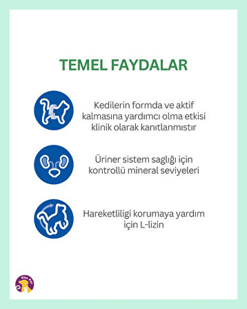 Hill's Science Plan Kısırlaştırılmış Somonlu Yetişkin Kedi Maması 3 kg