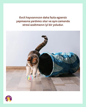 Lion Pets Renkli Kedi Oyuncak Isırmaya Dayanıklı Kedi Topu Kedi Oyuncak