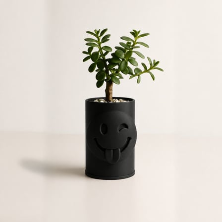 3D Baskı Emoji Planter - Göz Kırpan Yüzlü Sukulent Saksısı-Siyah