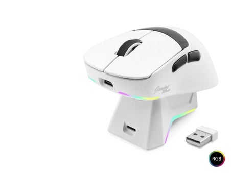 RGB Şarj Standlı Kablosuz Mouse 12000 DPI Beyaz