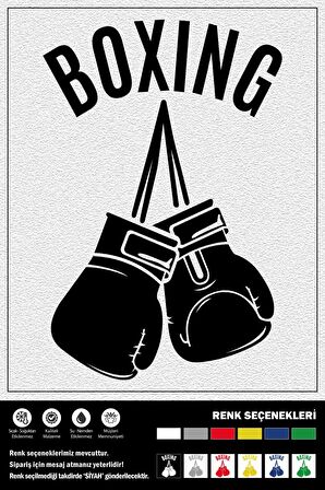 BOXING STICKER 20 x 13 cm