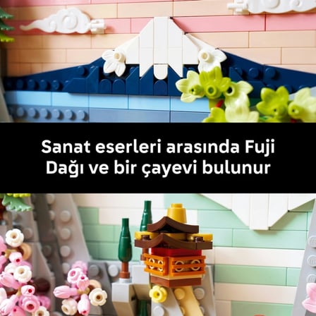 Japon Kiraz Çiçeği Manzarası 31218