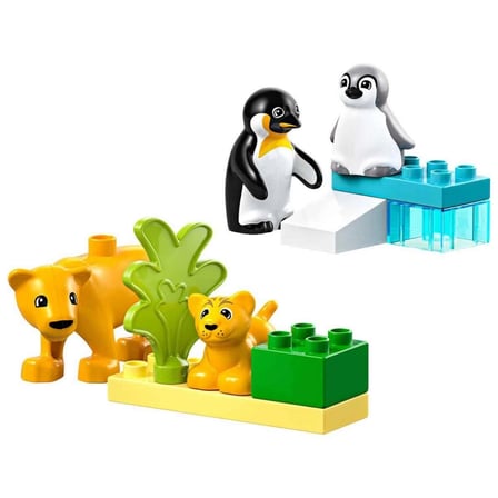 Kasabası Vahşi Hayvan Aileleri: Penguenler ve Aslanlar 10442