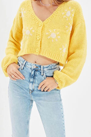 Kadın Modern Tarz Regular V Yaka Crop Triko Hırka